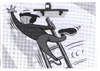 Exercise image 2