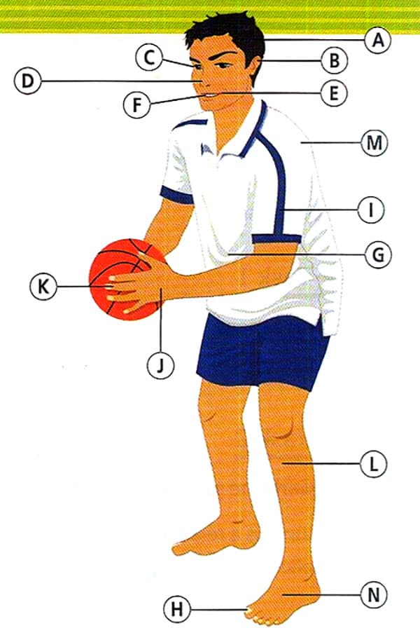 Exercise image