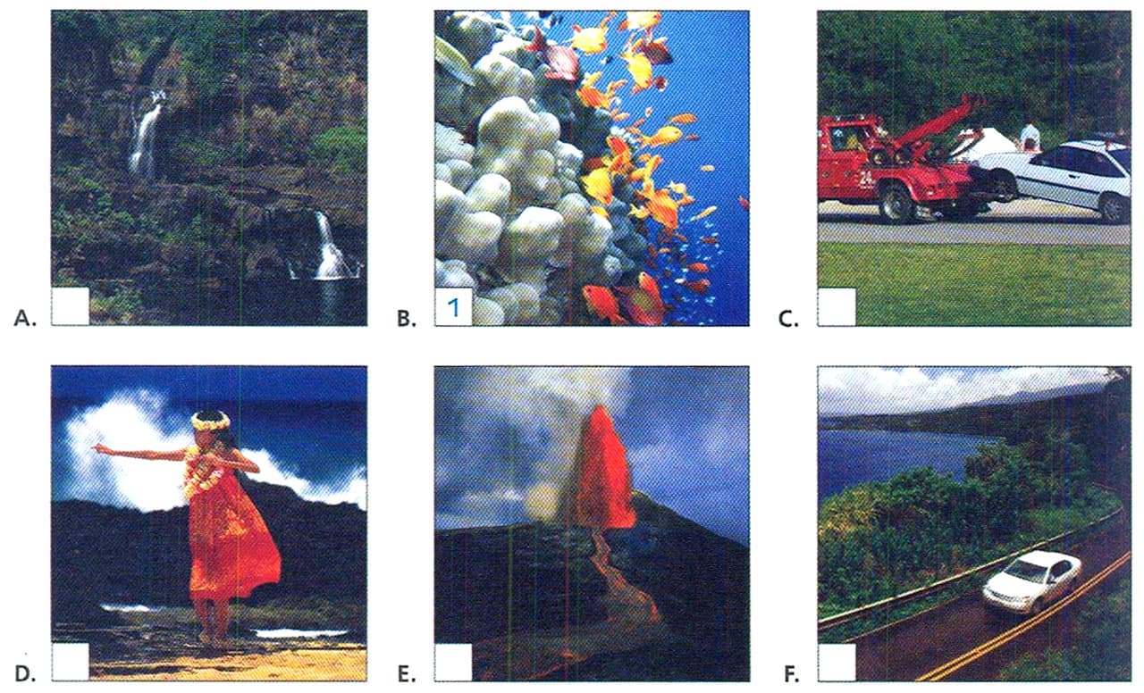 Exercise image