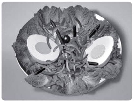 Exercise image 2