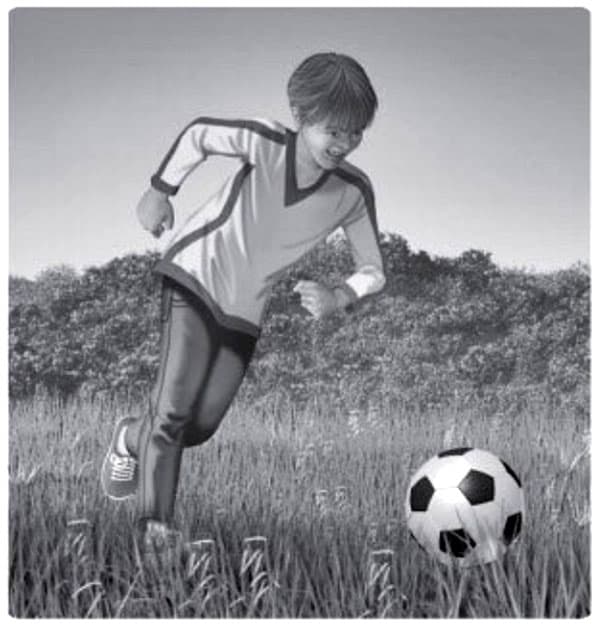 Exercise image 7
