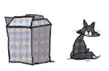 Exercise image 3
