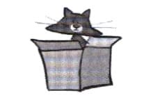 Exercise image 5