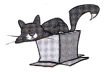 Exercise image 6