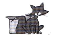 Exercise image 8