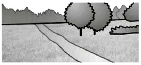 Exercise image 4