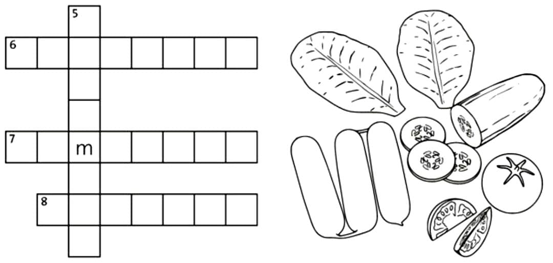 4 A Vocabulary elementary 02