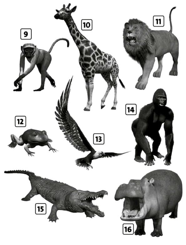 6 A Vocabulary elementary 02
