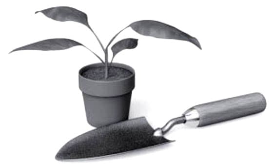 Exercise image 7