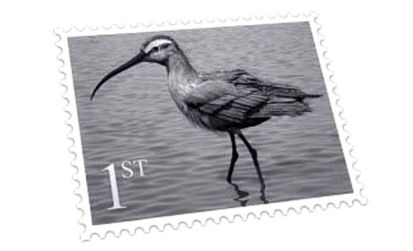 Exercise image 8