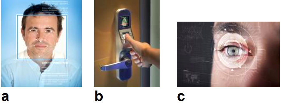 Safety and security test 1