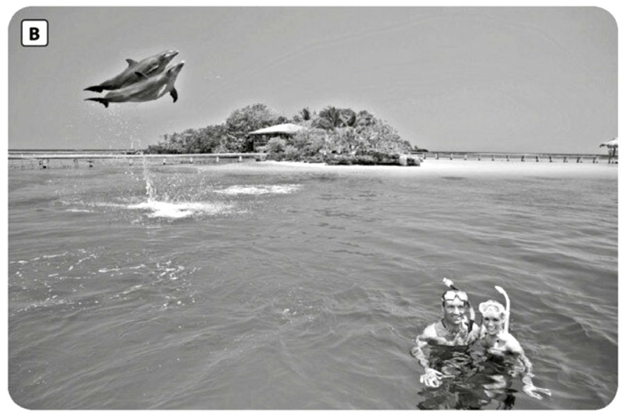 6 G Speaking elementary 02