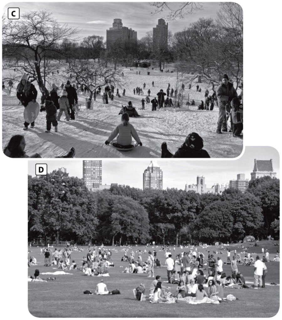 4 G Speaking pre-intermediate 02