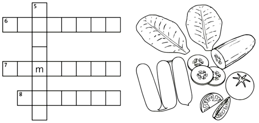 4 A Vocabulary elementary 02