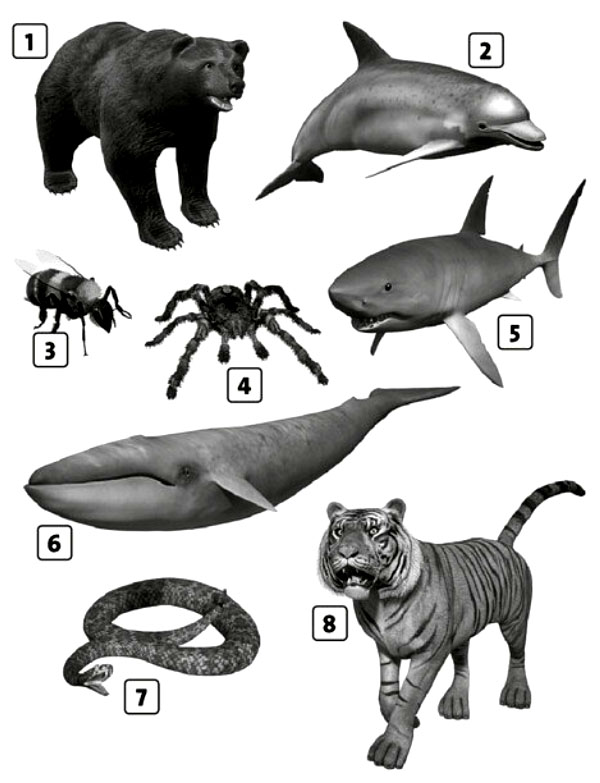 6 A Vocabulary elementary 01