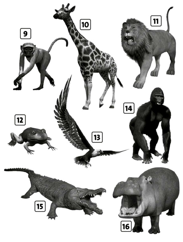 6 A Vocabulary elementary 02